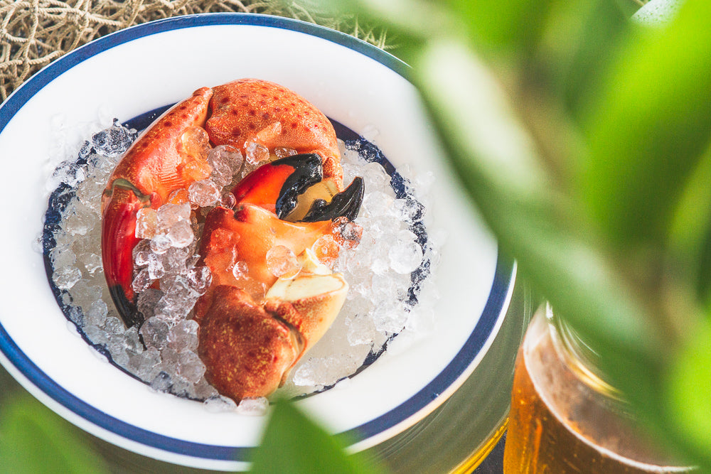 Stone Crab Appetizers for Weddings, Parties & Holidays – George Stone Crab