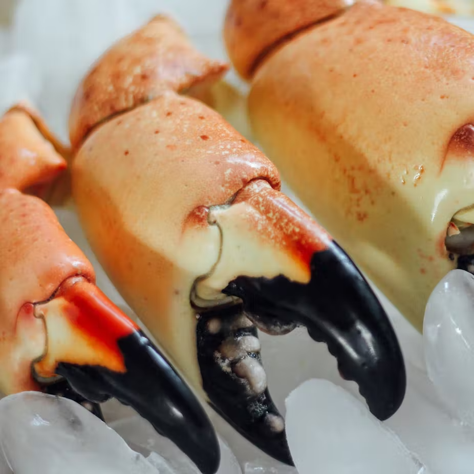 Stone Crabs Dinner for 6 with Key Lime Pie Stone Crab