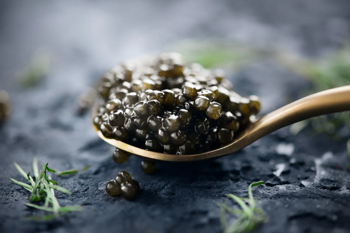 What Is Caviar?