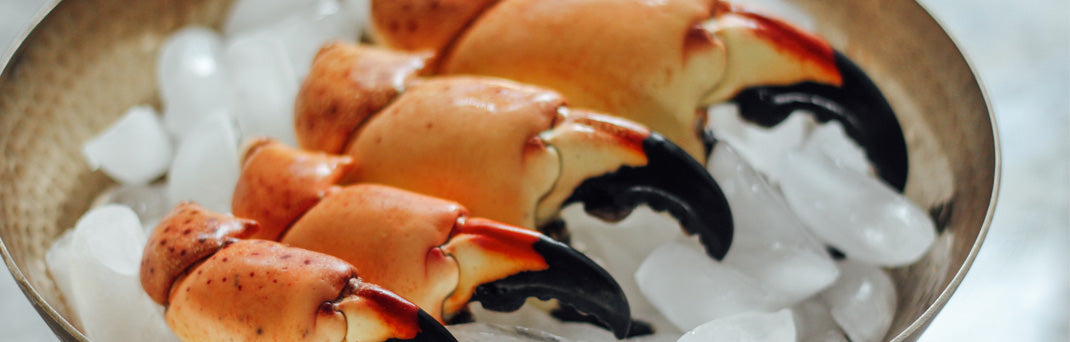 Why Is Stone Crab Fishing Sustainable? – George Stone Crab