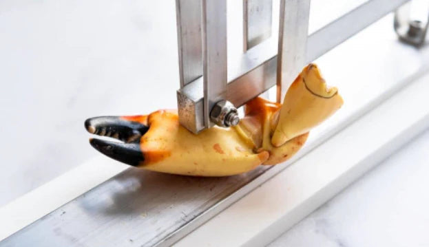 The Best Crab Claw Crackers