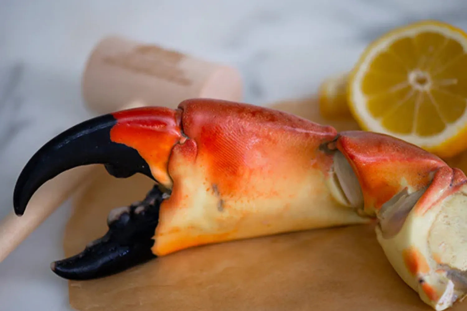 Seafood Sundays: Gourmet Stone Crab Dinner Ideas