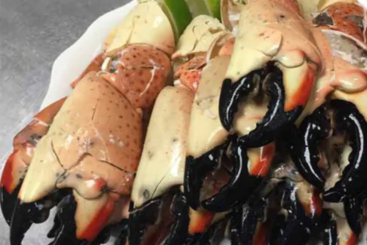 Stone Crab and Prime Cuts Pairings for a Perfect Surf and Turf
