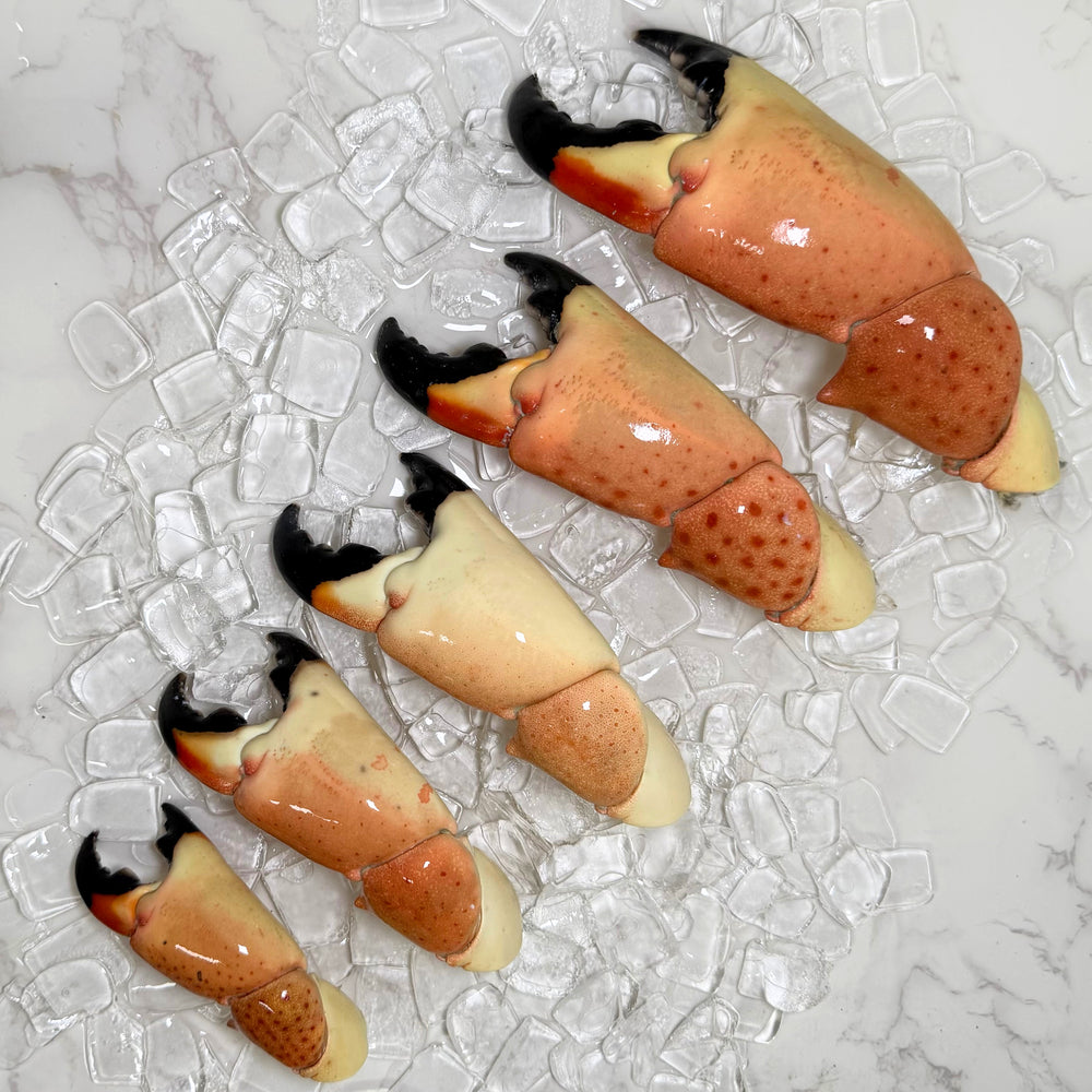 Image of Colossal Stone Crab Claws