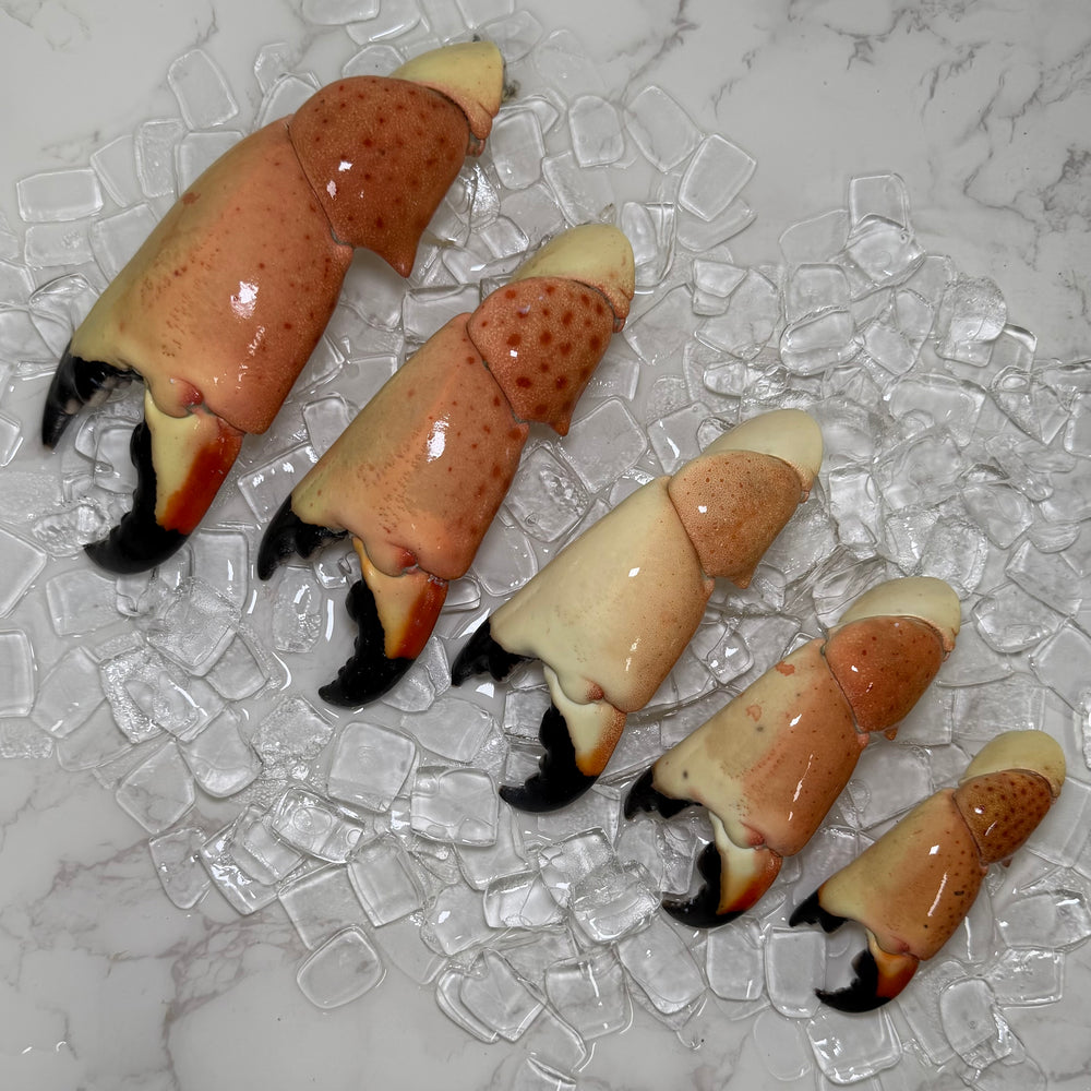Image of Colossal Stone Crab Claws