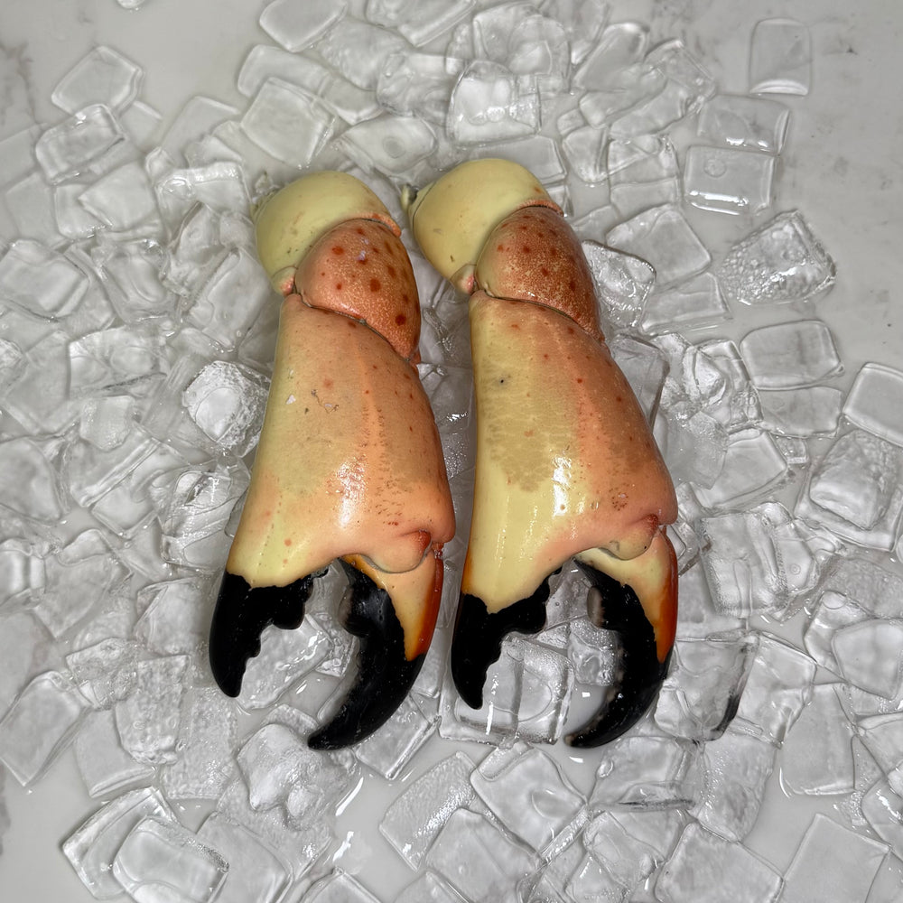 Image of Colossal Stone Crab Claws