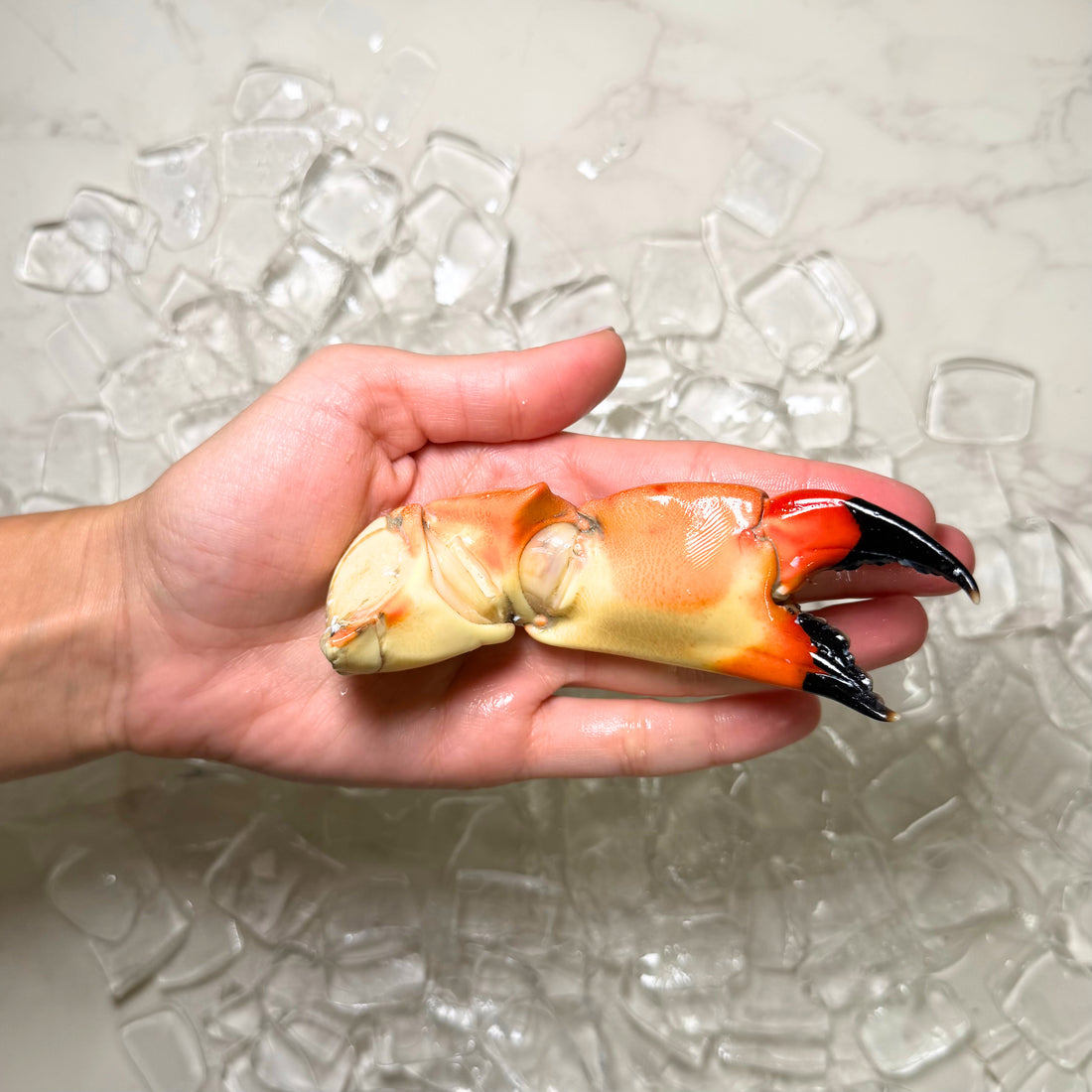 George Stone Crab
