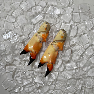 Image for Medium Stone Crab Claws