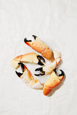 stone crab colossal claws