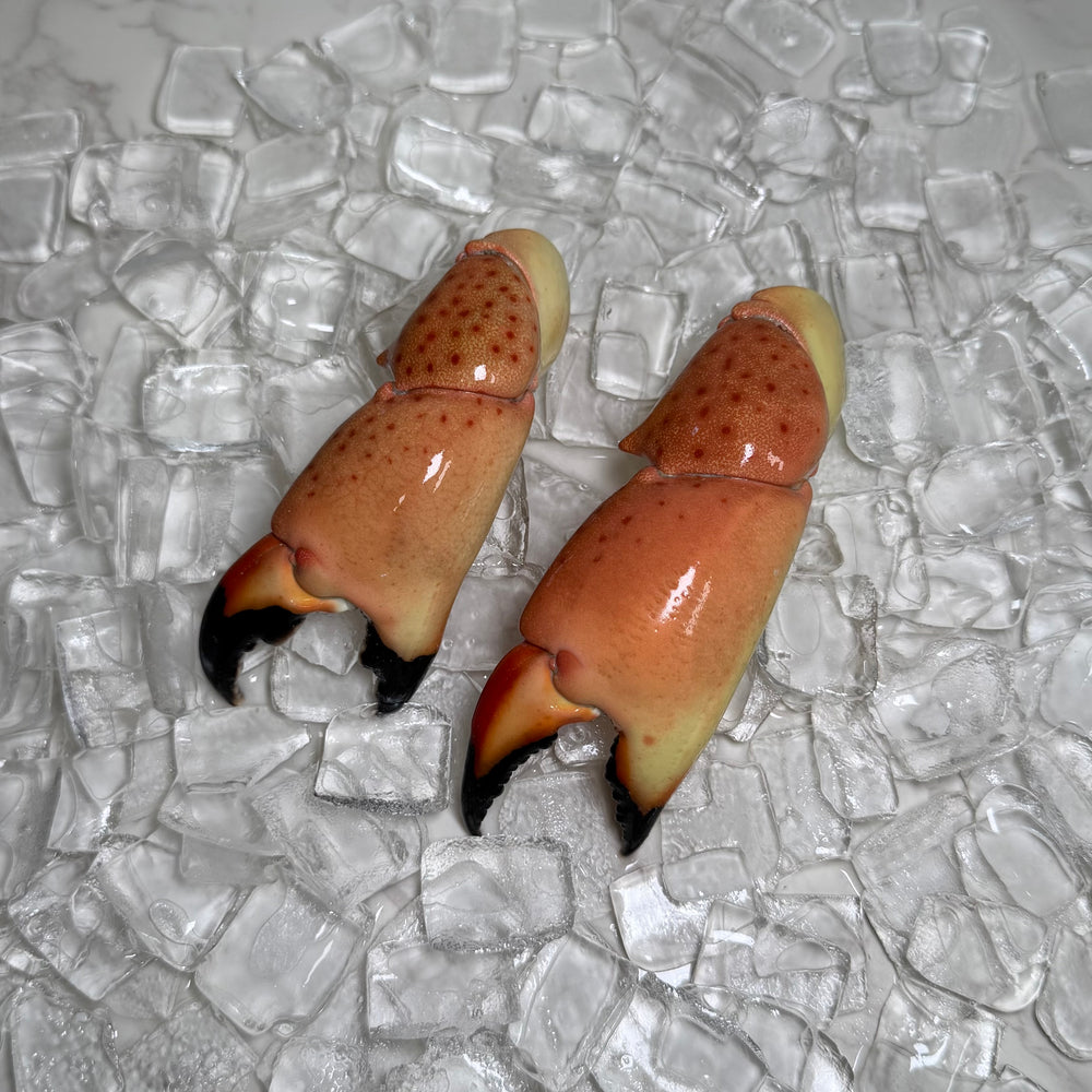 Image of Large Stone Crab Claws