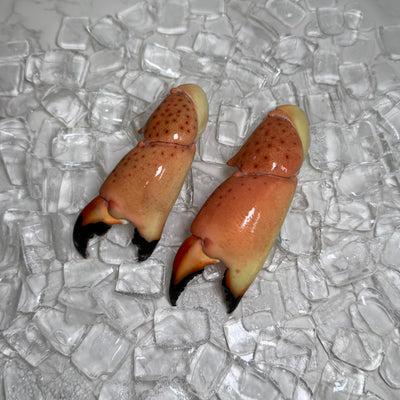 Image for Large Stone Crab Claws