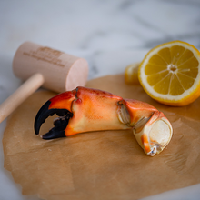 Load image into Gallery viewer, Medium Stone Crab Claw
