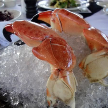 Load image into Gallery viewer, Colossal Stone Crab on Ice

