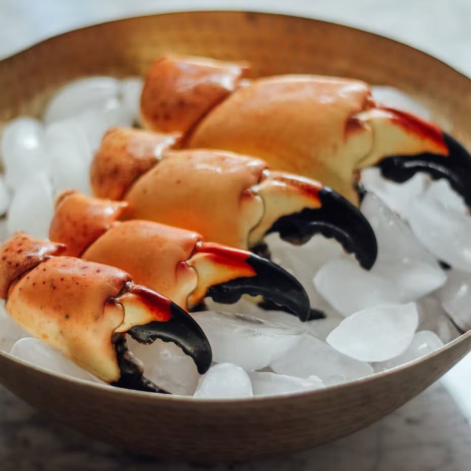 large stone crab